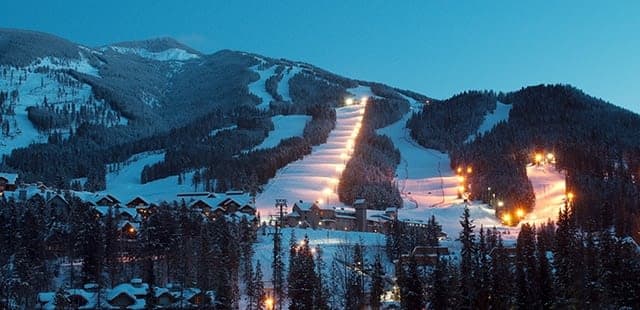 Ski Tip or Tamarack