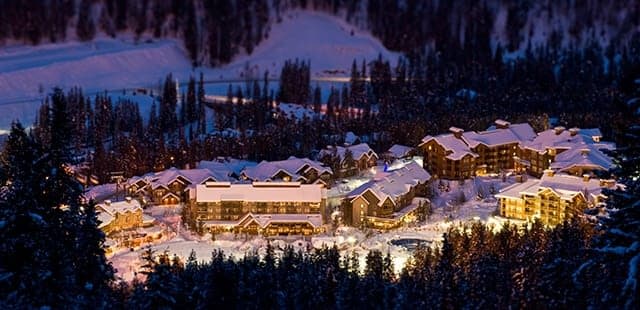 Ski Tip or Tamarack
