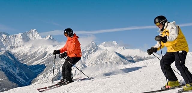 Ski Tip or Tamarack