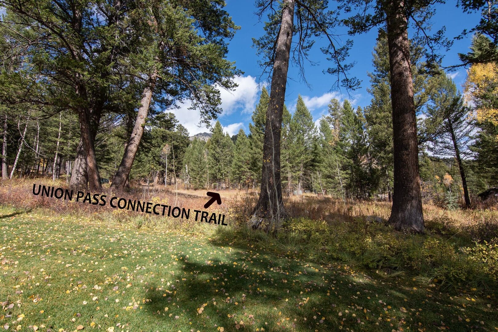 View From Deck with Ski Access marked
