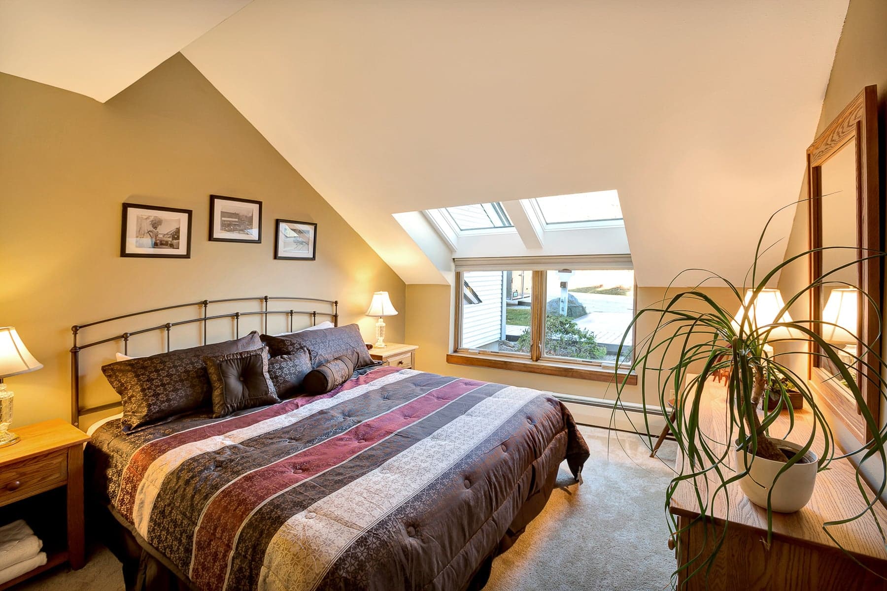 Master bedroom with king bed and skylight to view the night sky and enjoy the beautiful sunshine