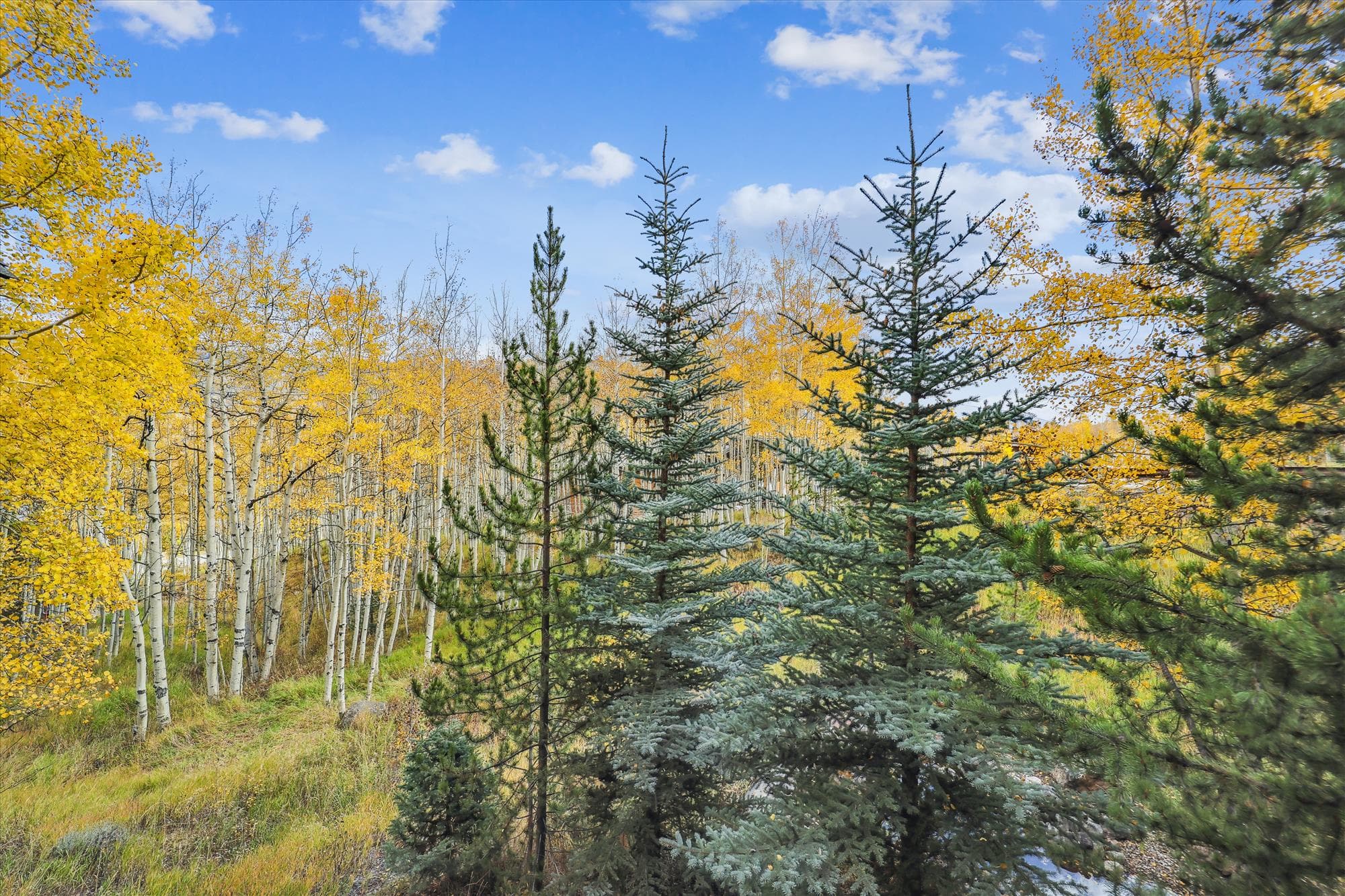 Exterior - Endless Trails Cabin - Silverthorne Vacation Rental