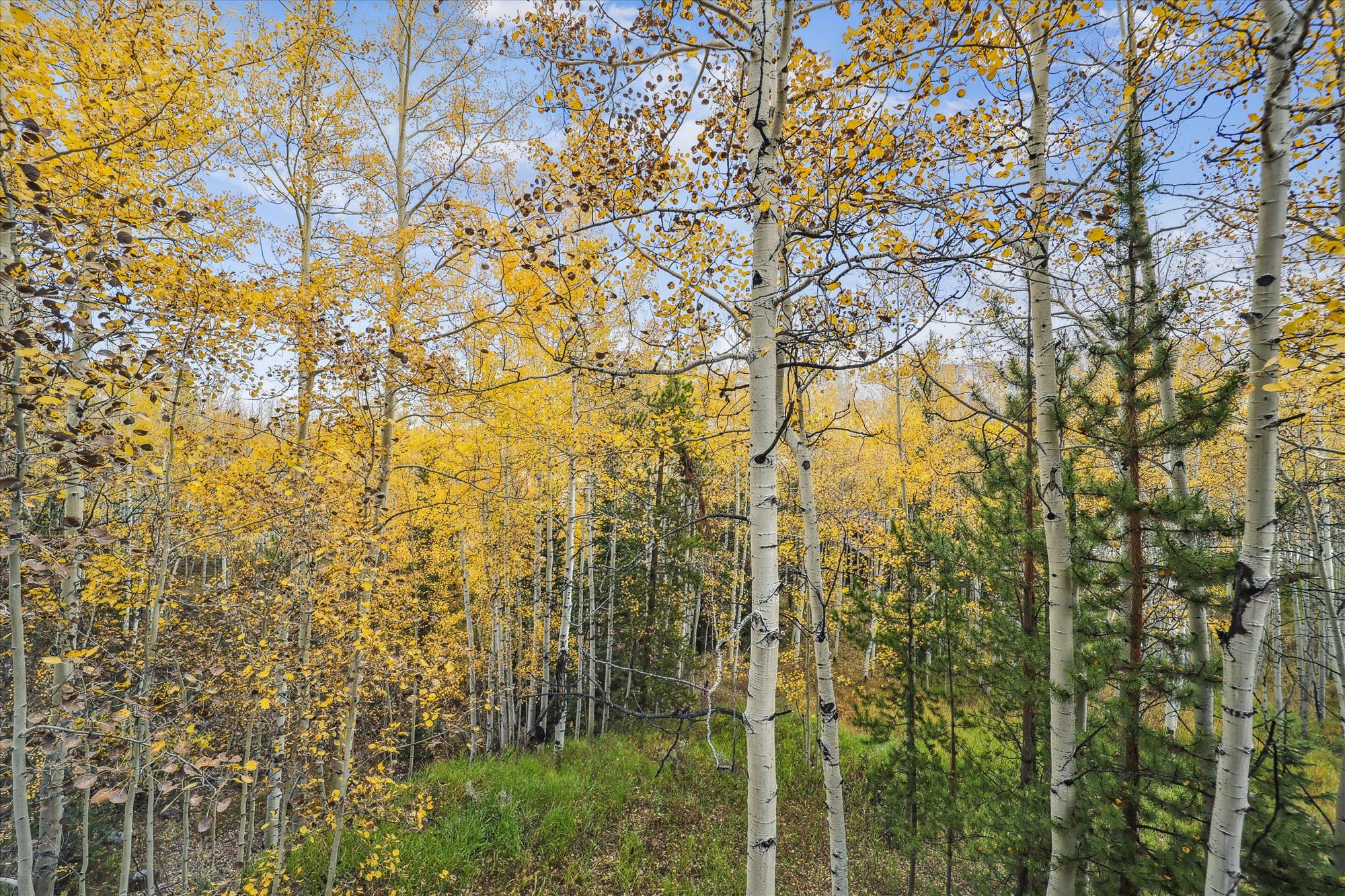 Exterior - Endless Trails Cabin - Silverthorne Vacation Rental