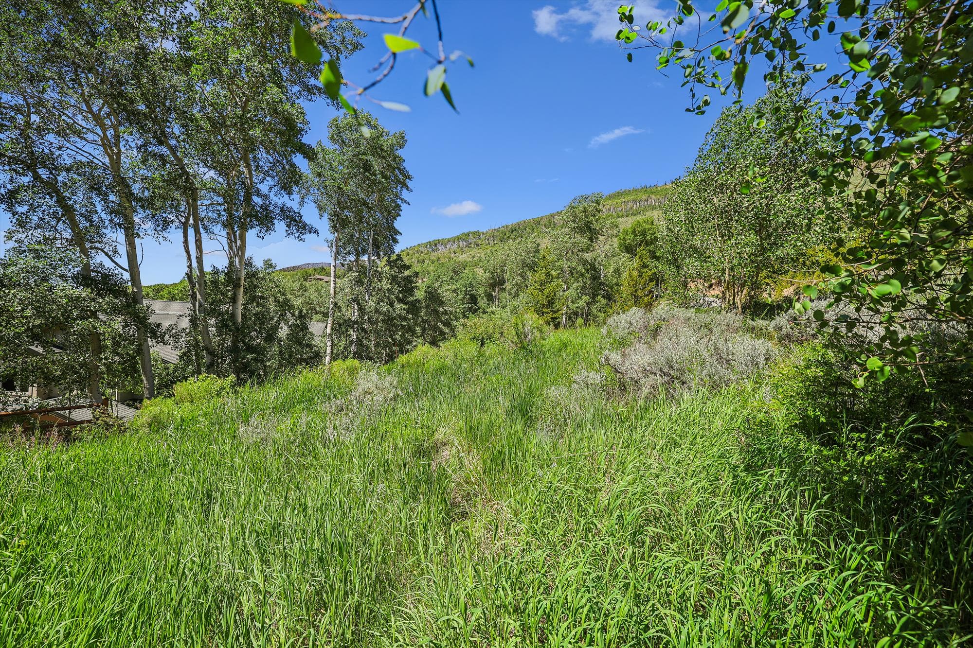 Exterior - Hamilton Creek Cabin - Silverthorne Vacation Rental