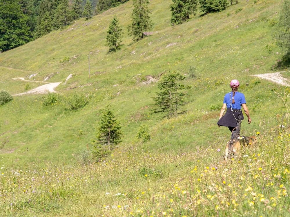 Hiking