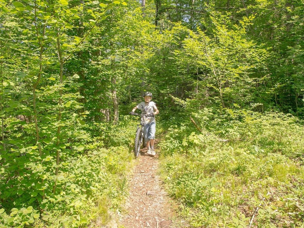 Hiking