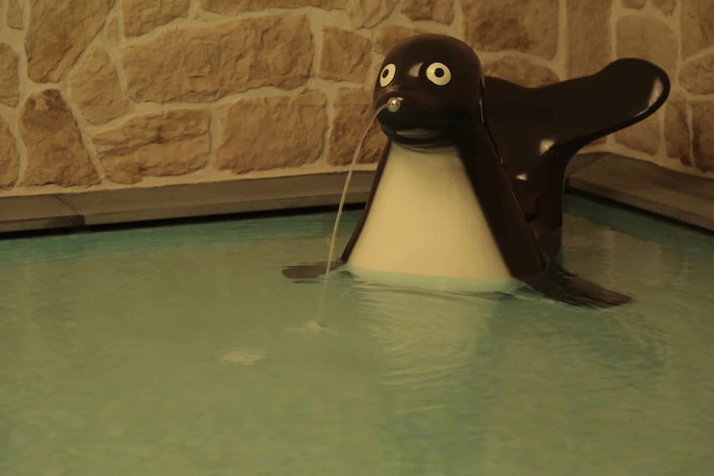 Children’s Pool