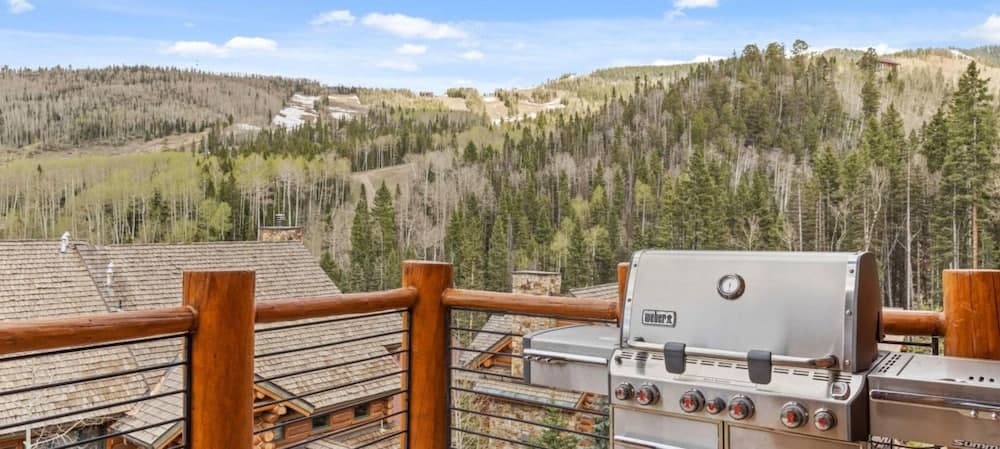 BBQ/picnic area