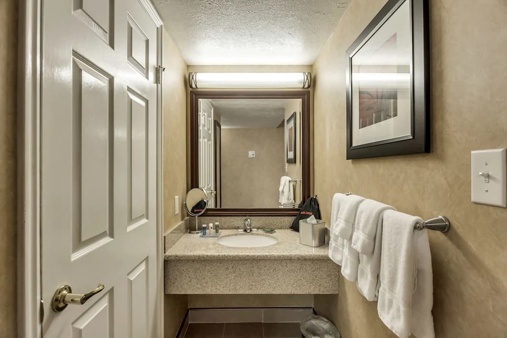 Bathroom sink