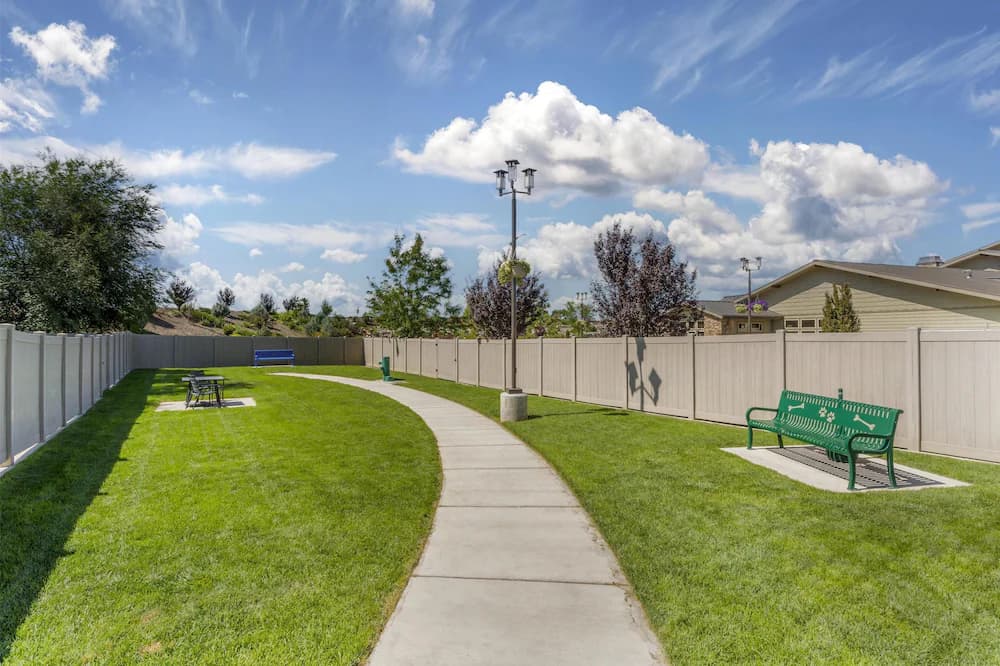 BBQ/picnic area
