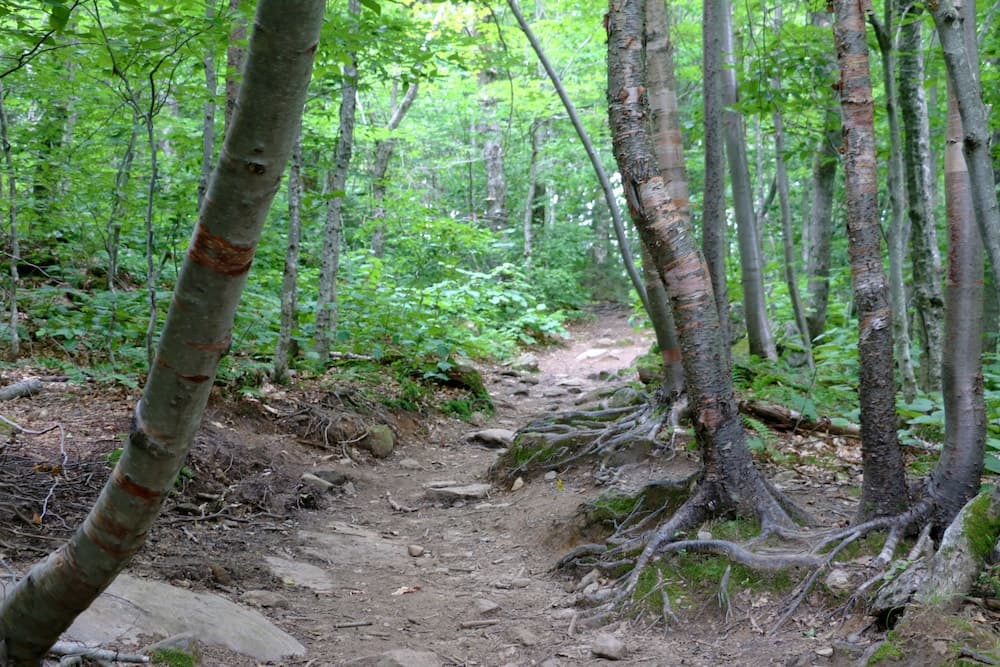 Hiking