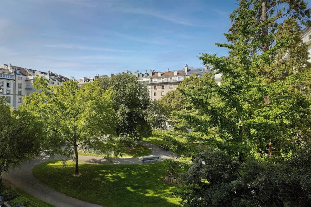 Park view
