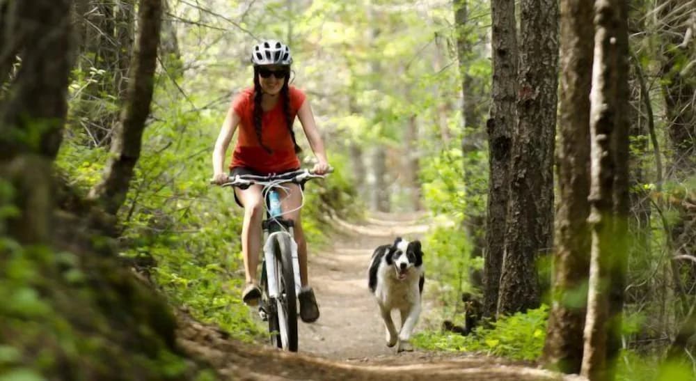 Bicycling