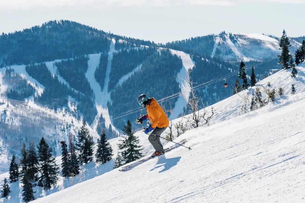 Skiing