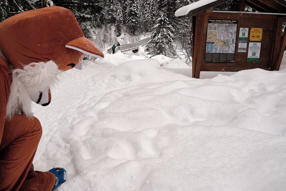 Snowshoeing