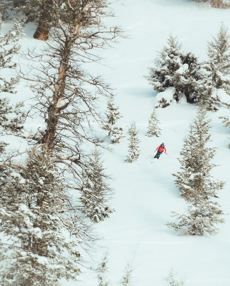 Skiing