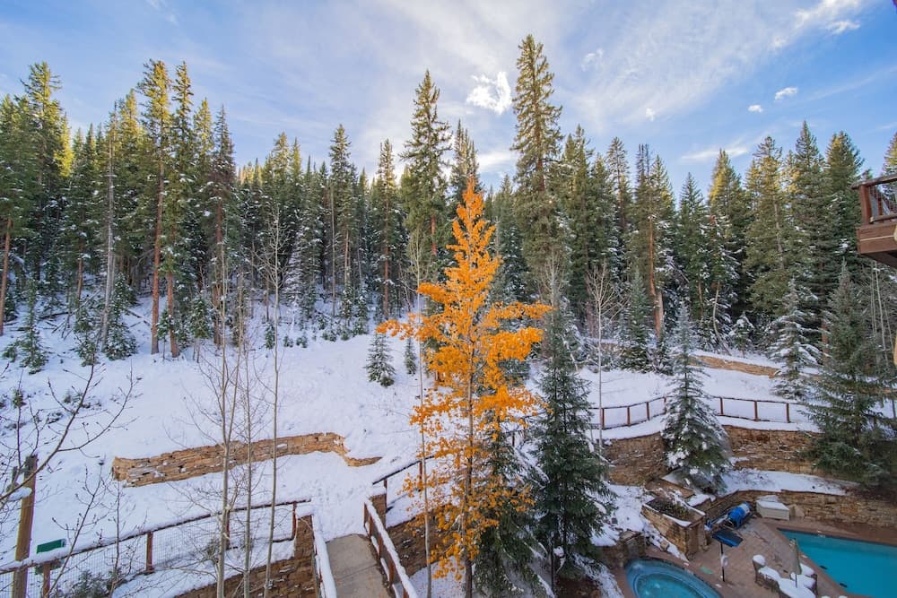 View from room