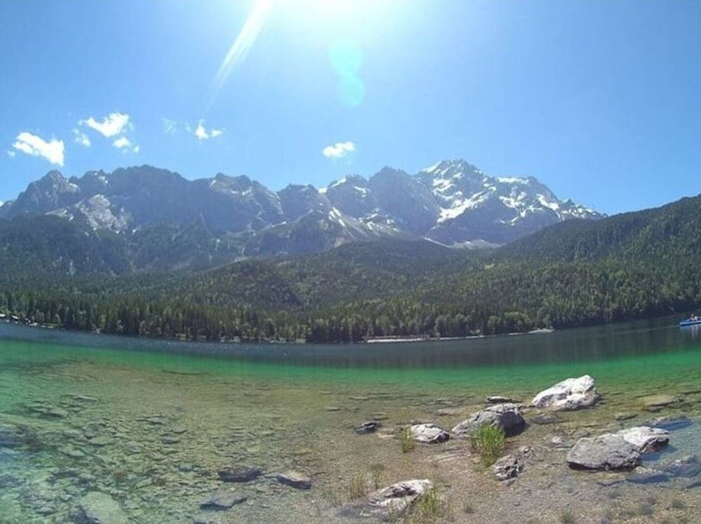 Miscellaneous