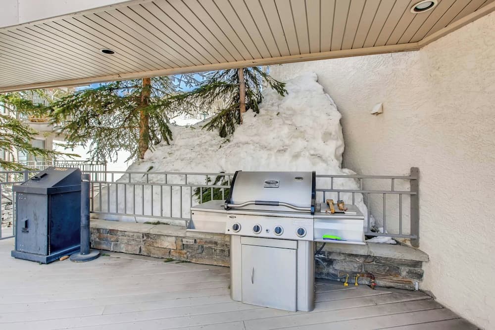 BBQ/picnic area