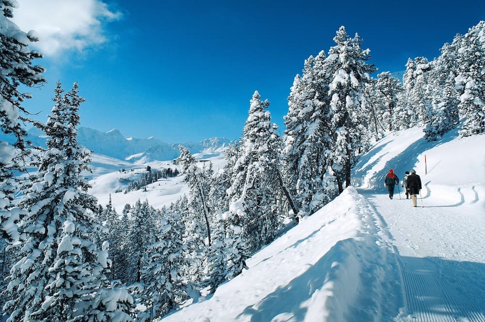 Snowshoeing