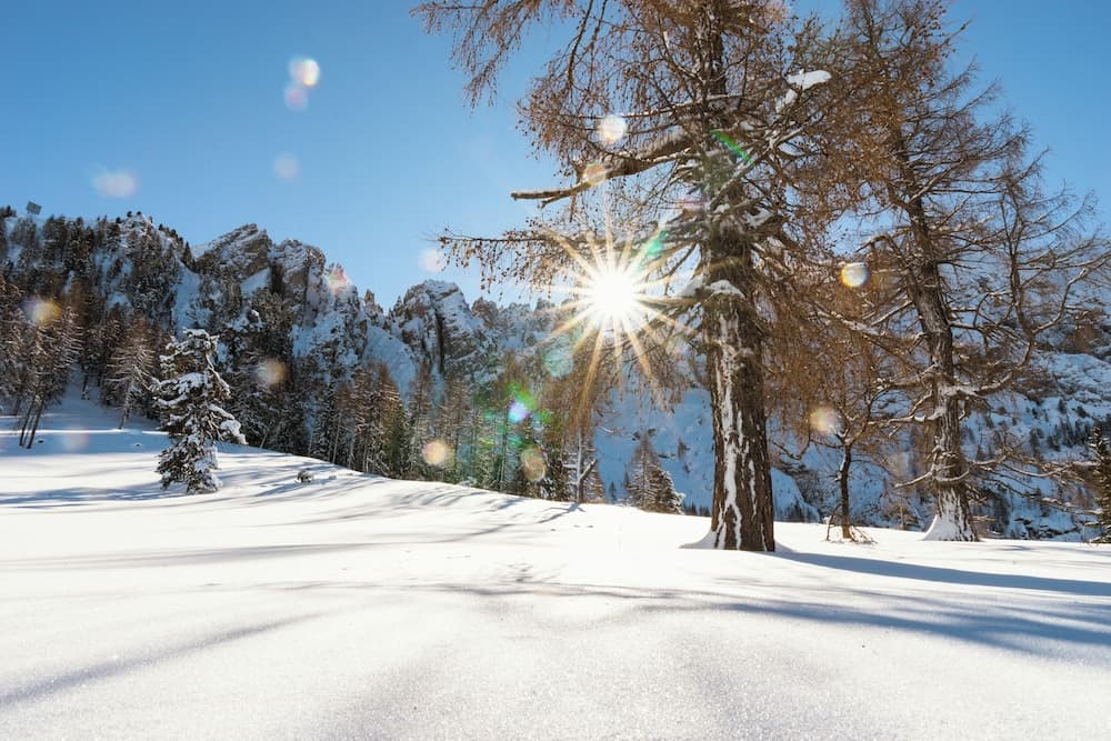 Snowshoeing