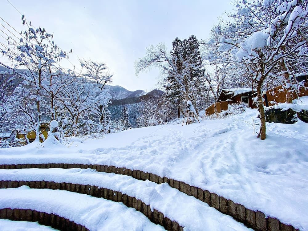 Sledding