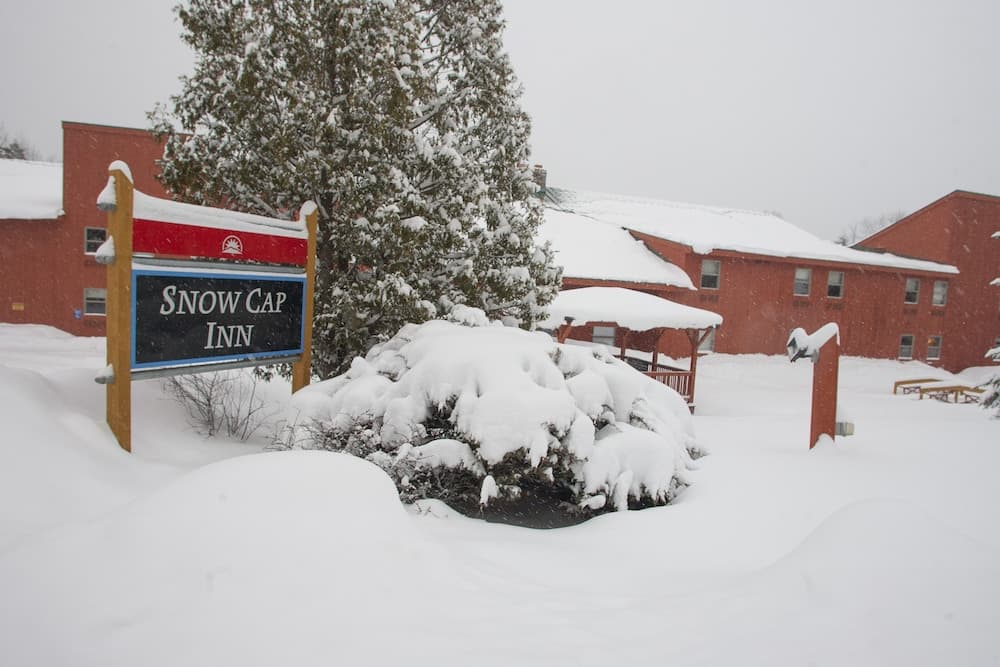 Primary image