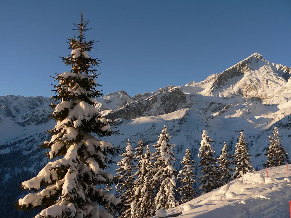 Snow and ski sports