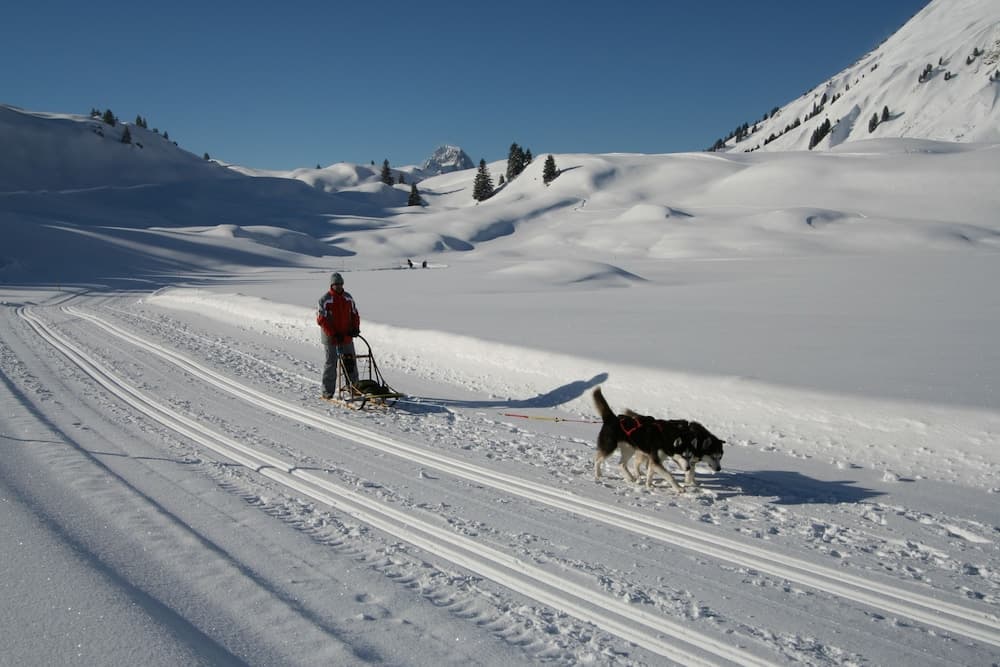 Snow and ski sports
