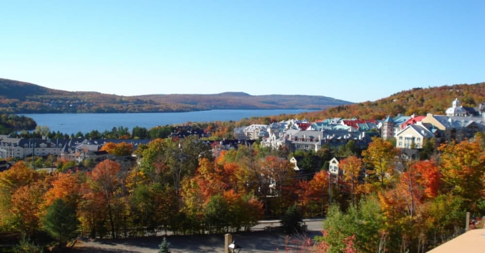 View from property