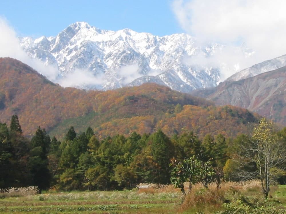 Mountain view