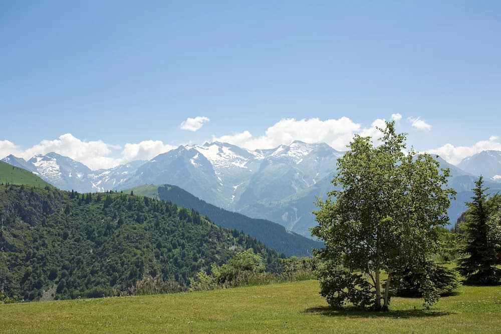 Mountain view