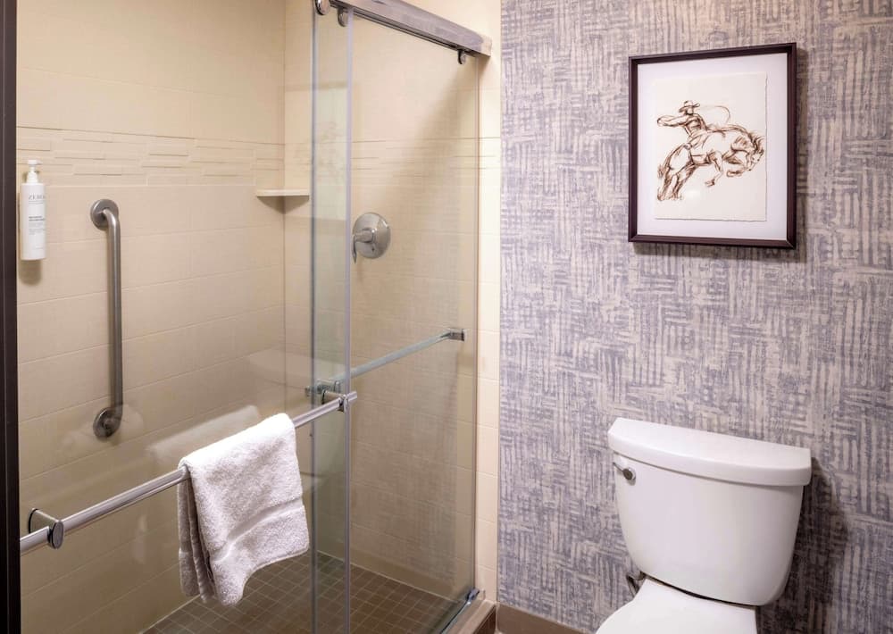 Bathroom shower
