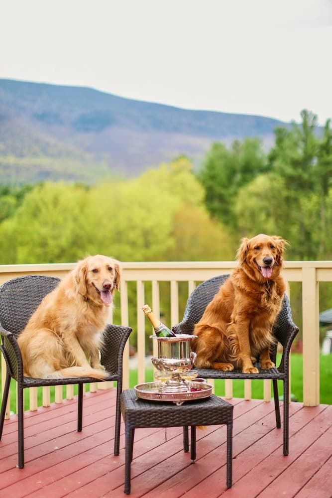 Pet-friendly