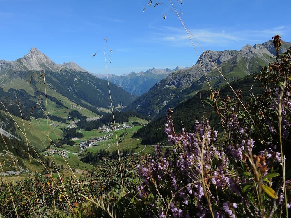 View from property