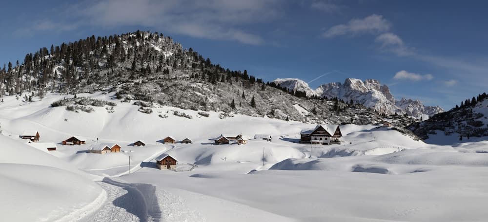 Snowshoeing