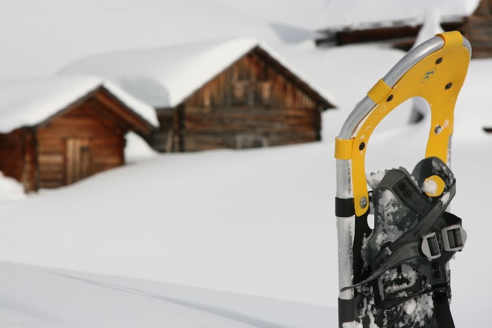Snowshoeing