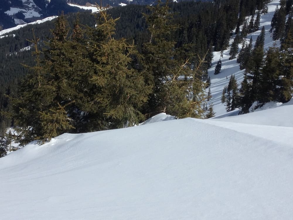 Skiing