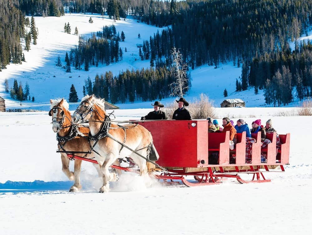Snow and ski sports