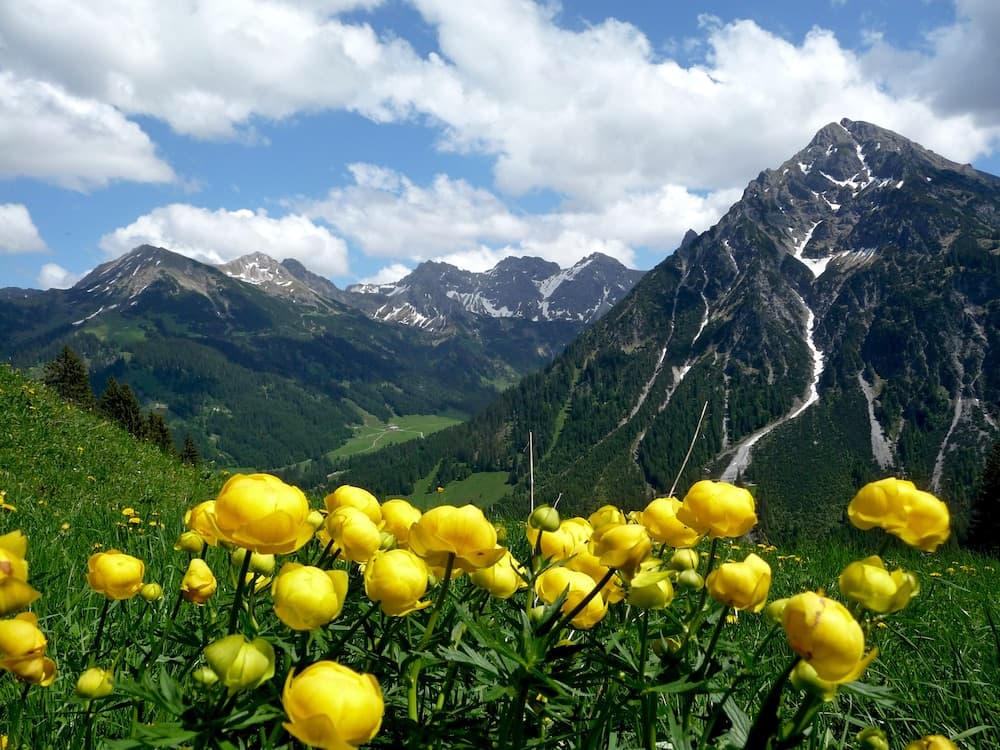 Mountain view