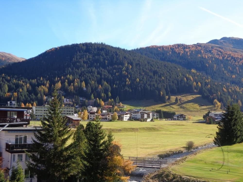 Mountain view