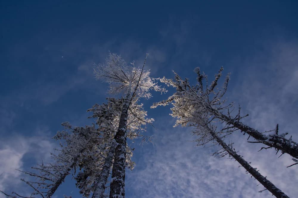 Hiking