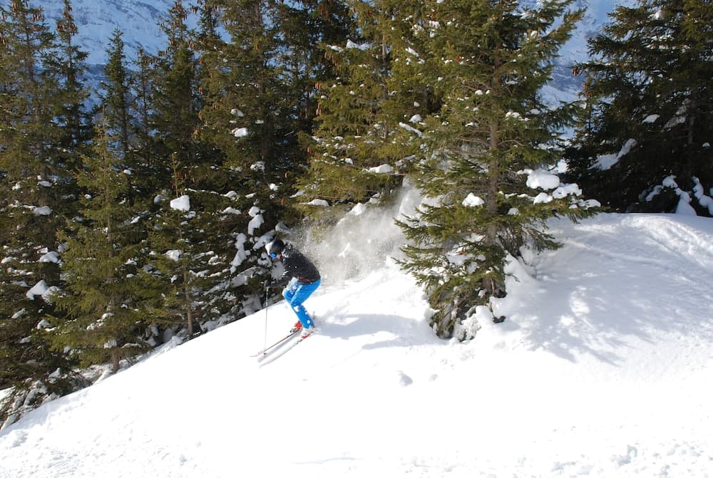 Snow and ski sports