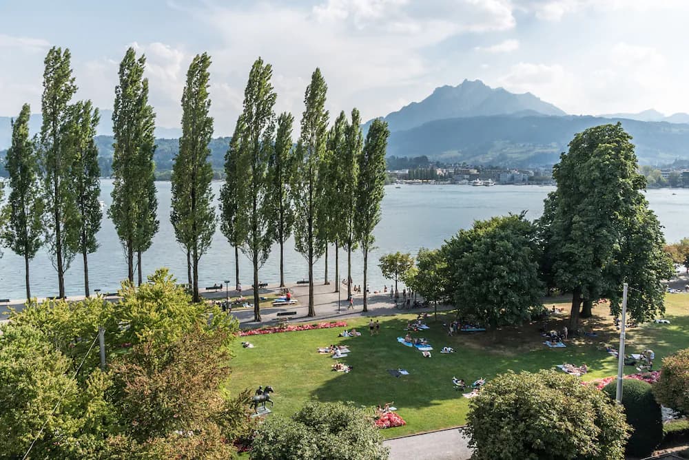 Lake view