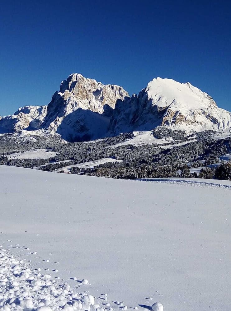 Snowshoeing