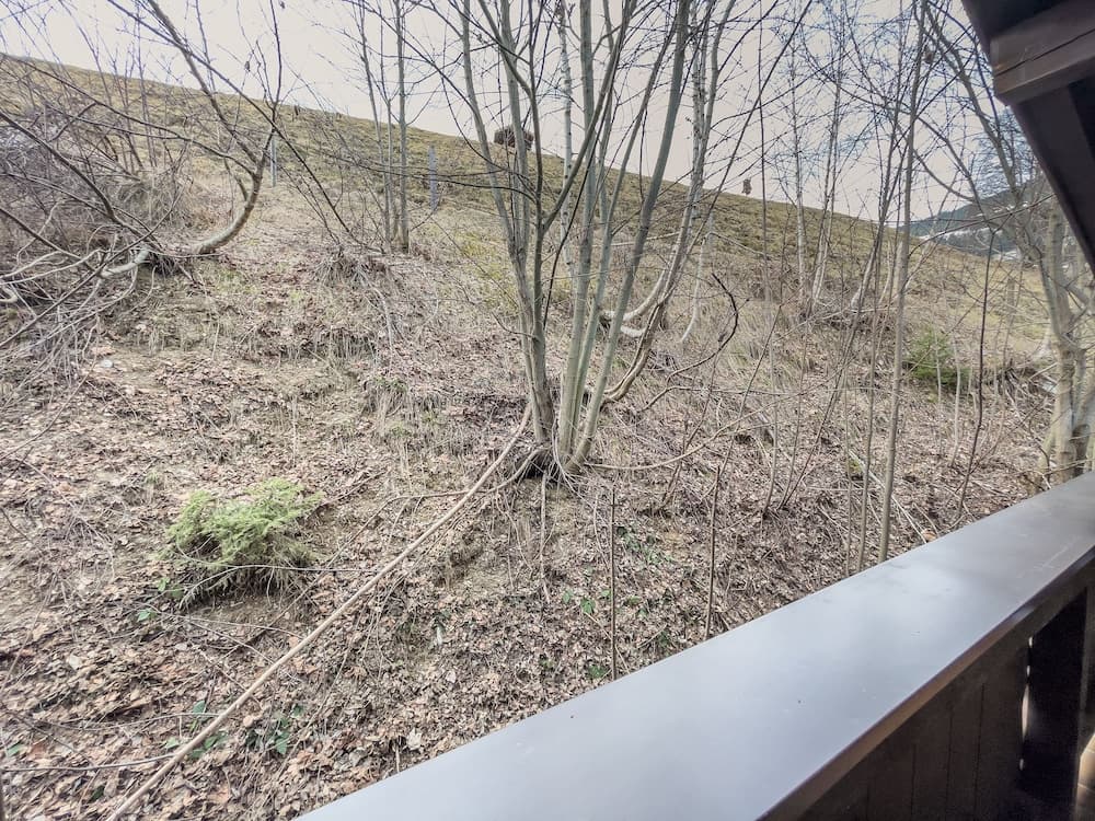 Land view from property