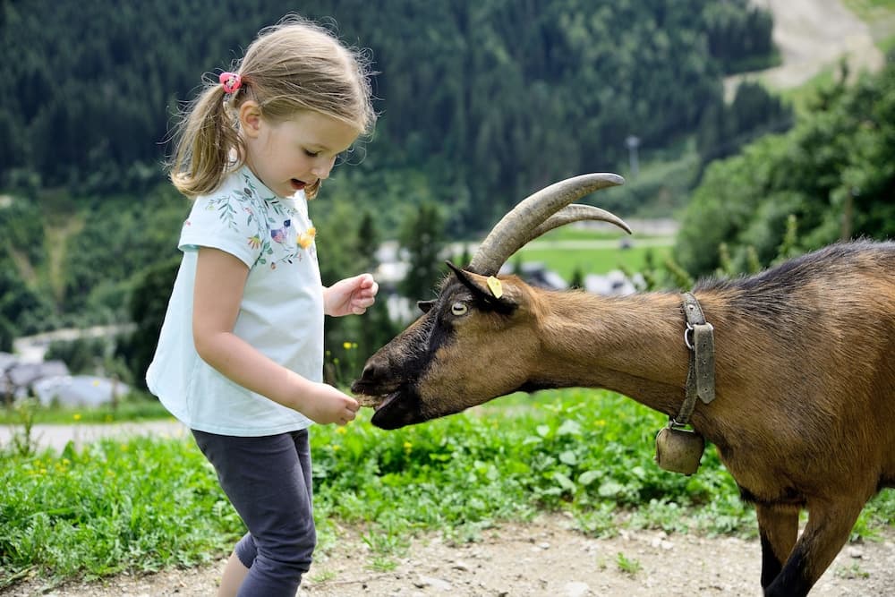 Children's activities