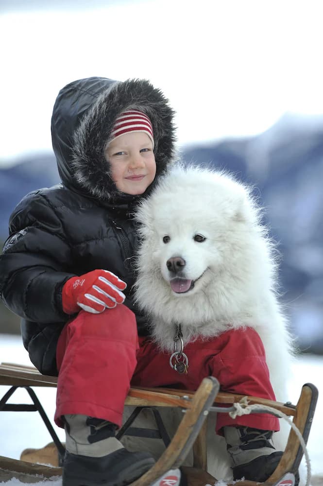 Sledding