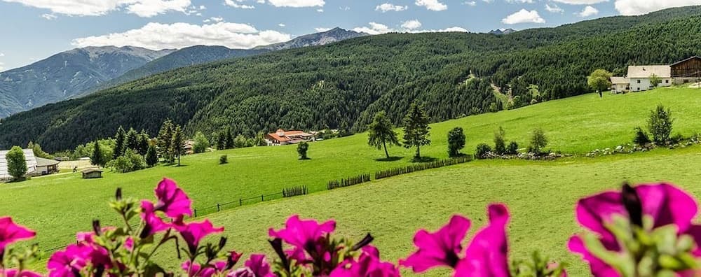 Mountain view