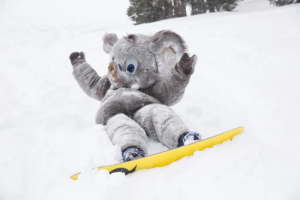 Snowboarding